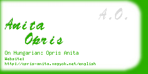 anita opris business card